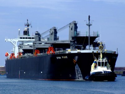 Dyna Pure IMO 9343431 at Port of Amsterdam, Holland 05-Jul-2008 photo-5