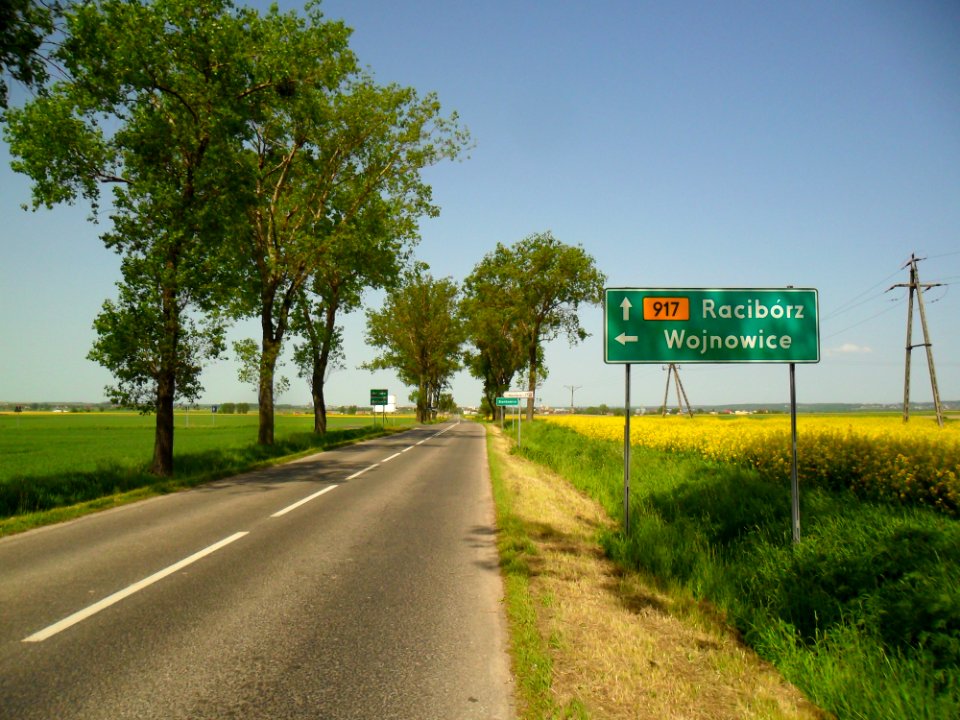 DW 917 Bojanów – Racibórz
