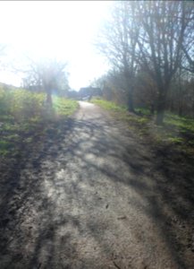 Dyke Railway Trail, off Hangleton Way, Hangleton (February 2019) (2)