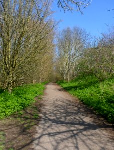 Dyke Railway Trail, off Hangleton Way, Hangleton (April 2015)