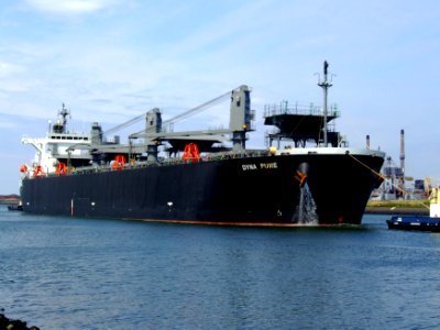 Dyna Pure IMO 9343431 at Port of Amsterdam, Holland 05-Jul-2008 photo-6