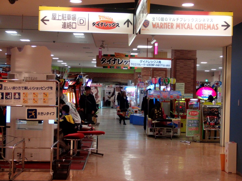 DYNALECX Ibaraki store