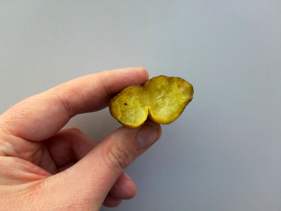 Dvojita okurka C