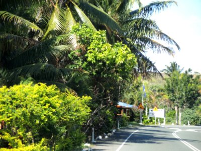 E37 Korotogo, Fiji (June-July 2015) 28