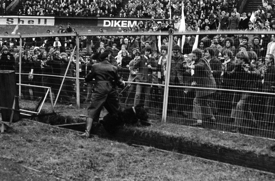 DWS tegen Ajax 0-1 politieagent met hond probeert jongens, die tegen hek duw we, Bestanddeelnr 924-2233