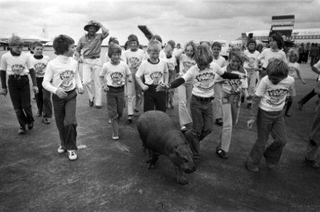 Dwergnijlpaard Hugo de Hippo op Zestienhoven aangekomen schoolkinderen en het dw, Bestanddeelnr 928-6201
