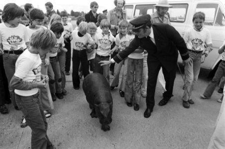 Dwergnijlpaard Hugo de Hippo op Zestienhoven aangekomen schoolkinderen en het dw, Bestanddeelnr 928-6204