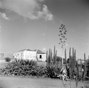 Een klein landhuis op Curaçao, Bestanddeelnr 252-7364