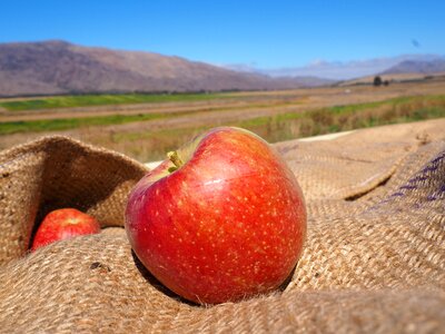 Harvest nature still life