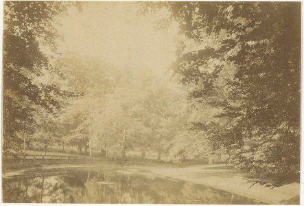 Een kijkje in de hertenkamp, Inventarisnummer NL-HlmNHA 18515