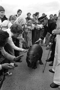 Dwergnijlpaard Hugo de Hippo op Zestienhoven aangekomen schoolkinderen en het dw, Bestanddeelnr 928-6203