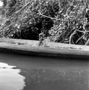 Een korjaal bij Wakibasoe op de rivier, Bestanddeelnr 252-5812