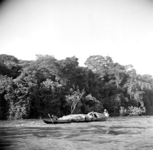 Een korjaal met palmbladeren op de Surinamerivier, Bestanddeelnr 252-5941