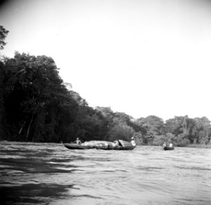 Een korjaal met palmbladeren op de Surinamerivier, Bestanddeelnr 252-5943