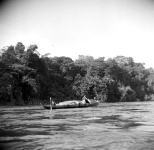 Een korjaal met palmbladeren op de Surinamerivier, Bestanddeelnr 252-5942