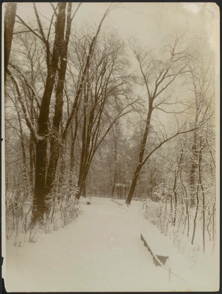 Een laantje in het Vondelpark na sneeuwval., Bestanddeelnr 158-2124