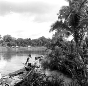 Een korjaal aan de oever van de Surinamerivier, Bestanddeelnr 252-5868
