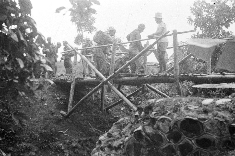 Een lastpaard is ineengezakt op een bamboe brug, Bestanddeelnr 280-3-5