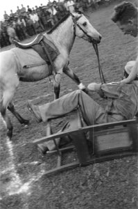 Een militair is van zijn stoel gevallen maar houdt nog de teugels van het paard , Bestanddeelnr 492-4-4