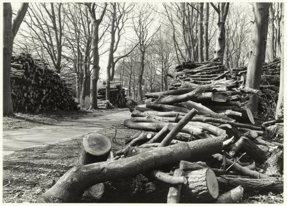 Een massa gekapt hout op landgoed De Belvedère in Overveen, NL-HlmNHA 54015732