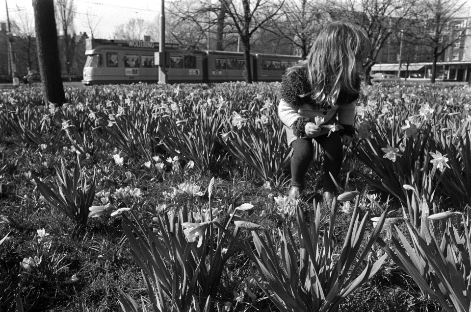 Een meisje tussen de narcissen, Bestanddeelnr 929-0655