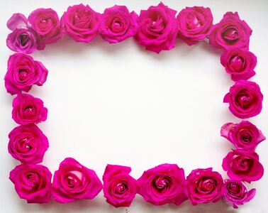 White space text space floral