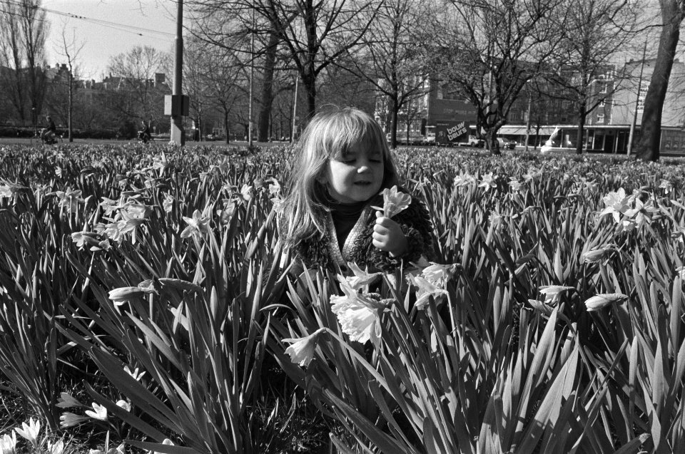 Een meisje tussen de narcissen, Bestanddeelnr 929-0654