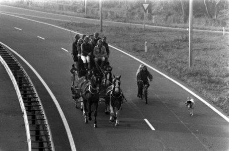 Een koets op de autosnelweg N206, Katwijk aan den Rijn, richting Noordwijk, begeleid door een fietser, Bestanddeelnr 926-8026