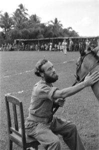 Een Nederlandse militair met een baard zit op een stoel en houdt een paard vast, Bestanddeelnr 492-4-3