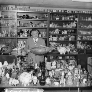 Een na de grootste collectie spaarpotten van de wereld, van de heer Ter Wolbeek, Bestanddeelnr 914-4329