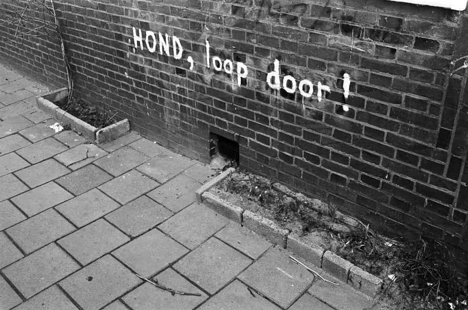 Een muur boven een tuintje met de tekst hond, loop door, Bestanddeelnr 930-1951