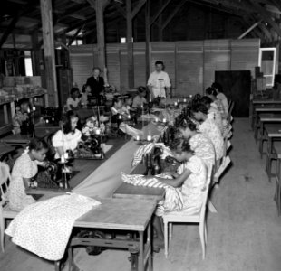 Een naaiatelier voor bedrijfskleding op Bonaire, Bestanddeelnr 252-8411