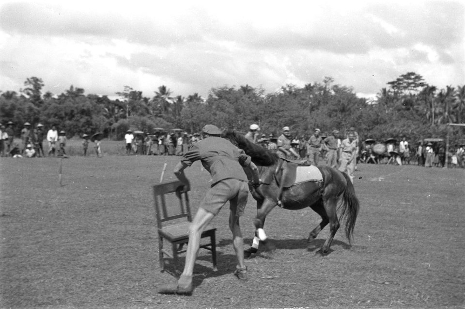 Een Nederlandse militair houdt een stoel vast enoudt een paard bij de teugels, Bestanddeelnr 492-4-2