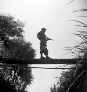 Een militari taat op een boomstam over een beek of sloot, met zijn wapen gerich…, Bestanddeelnr 15813