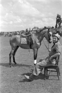 Een Nederlandse militair met een baard zit op een stoel en houdt een paard vast, Bestanddeelnr 492-4-1