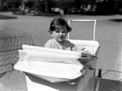 Een peuter in een kinderwagen in Artis, Bestanddeelnr 189-0461
