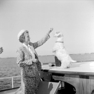 Een onbekende dame voert aan dek de hond van prins Bernhard, Bestanddeelnr 255-7641