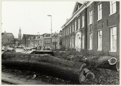 Een omgezaagde boom (oude zieke iep) voor het politiebureau, ziende naar het zuiden. NL-HlmNHA 54010414