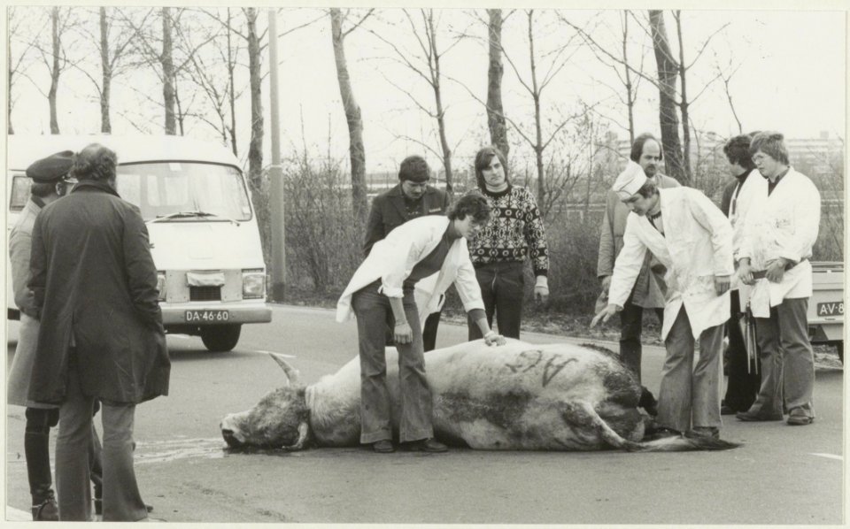 Een ongeluk met een stier. NL-HlmNHA 54015191 02