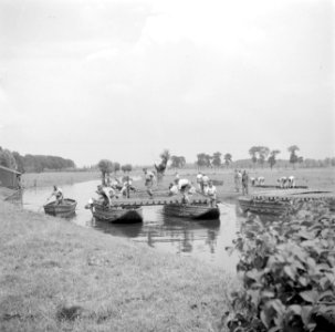 Een militaire oefening Een rivier moet worden overgestoken Een pontonbrug wor…, Bestanddeelnr 255-9539