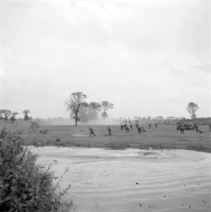 Een militaire oefening Een rivier moet worden overgestoken, Bestanddeelnr 255-9525