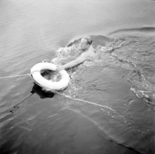 Een onbekende heer zwemt naast het jacht, Bestanddeelnr 255-7640 photo