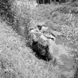 Een militaire oefening Gewonden worden verzorgd, Bestanddeelnr 255-9512
