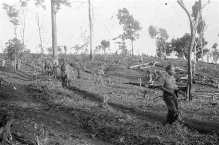 Een patrouille nadert een kampong vanaf een heuvel, waar veel bomen gekapt zijn, Bestanddeelnr 455-3-6