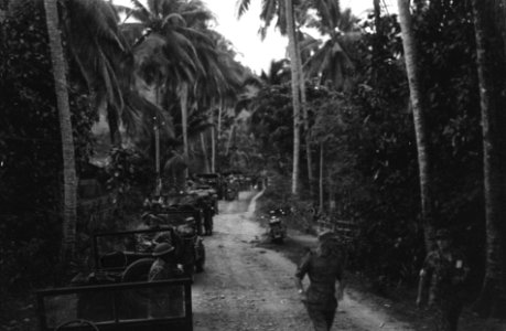 Een militaire colonne staat stil op een weg met palmbomen, Bestanddeelnr 1911