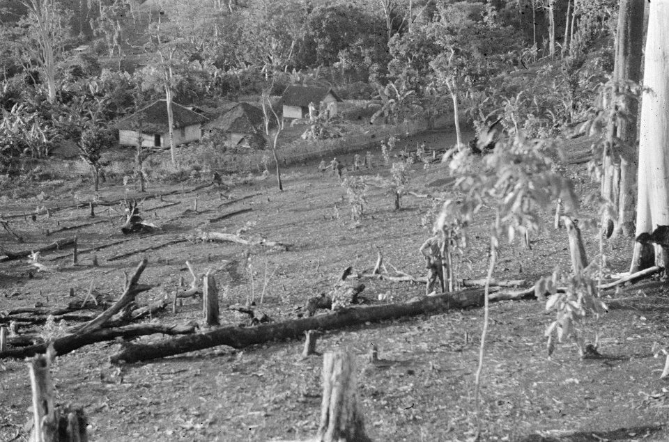 Een patrouille nadert een kampong vanaf een heuvel, waar veel bomen gekapt zijn, Bestanddeelnr 455-3-3