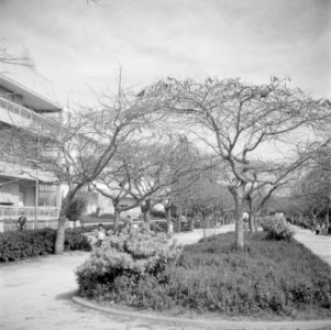 Een park in Tel Aviv met moeders en kinderen in een parkje, Bestanddeelnr 255-1291