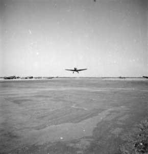 Een P40 Curtiss Kittyhawk stijgt op, Bestanddeelnr 11849