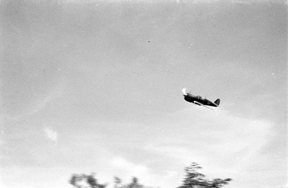 Een P40 Curtiss jachtvliegtuig, Bestanddeelnr 3797