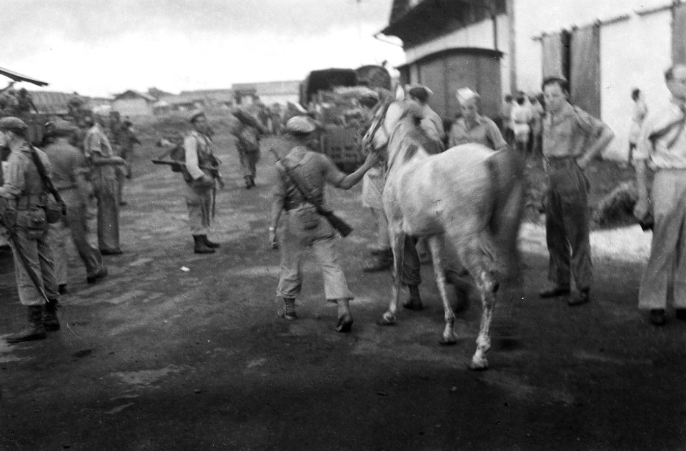 Een paard wordt meegevoerd en aan land gebracht, Bestanddeelnr 3160
